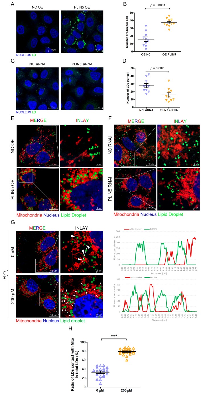 PMC6830103 – cells-08-01241-f004