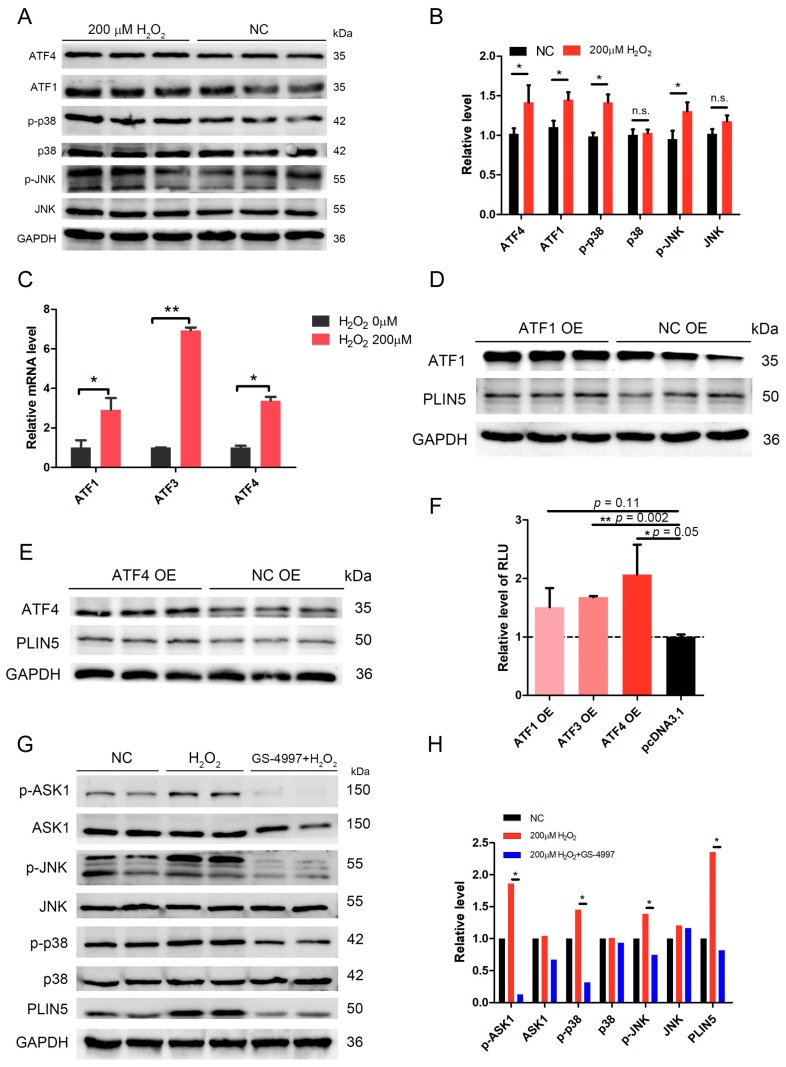 PMC6830103 – cells-08-01241-f006