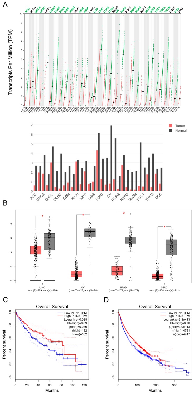 PMC6830103 – cells-08-01241-f007