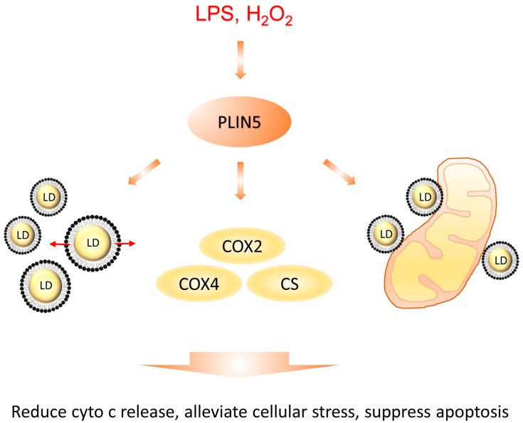 PMC6830103 – cells-08-01241-f008