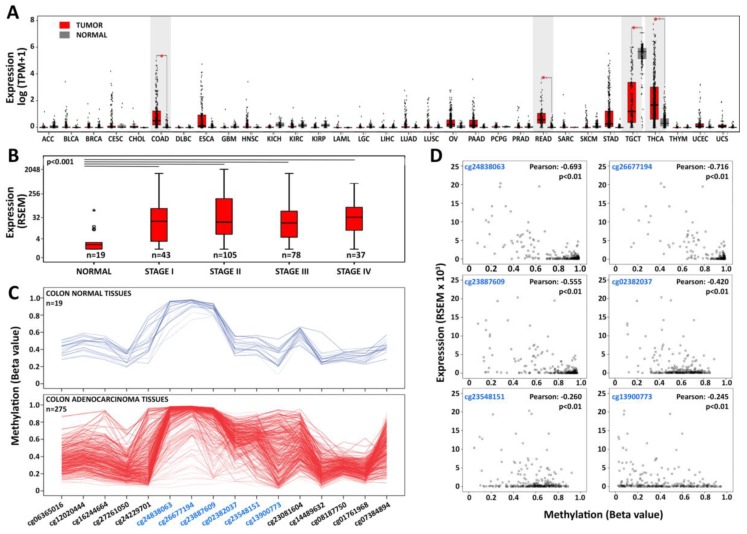 PMC6912267 – cells-08-01390-f001