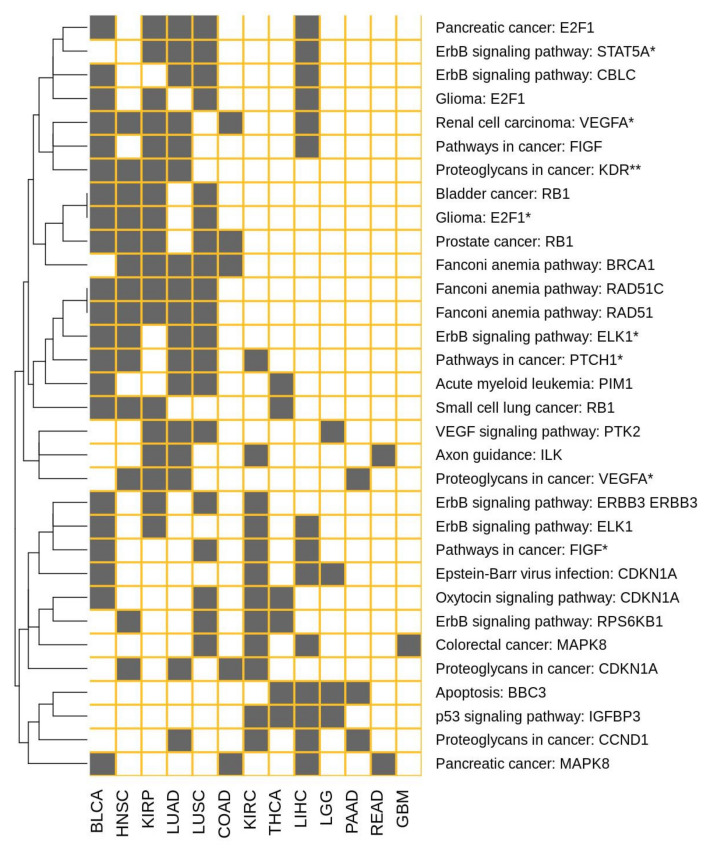 PMC7408716 – cells-09-01579-f003