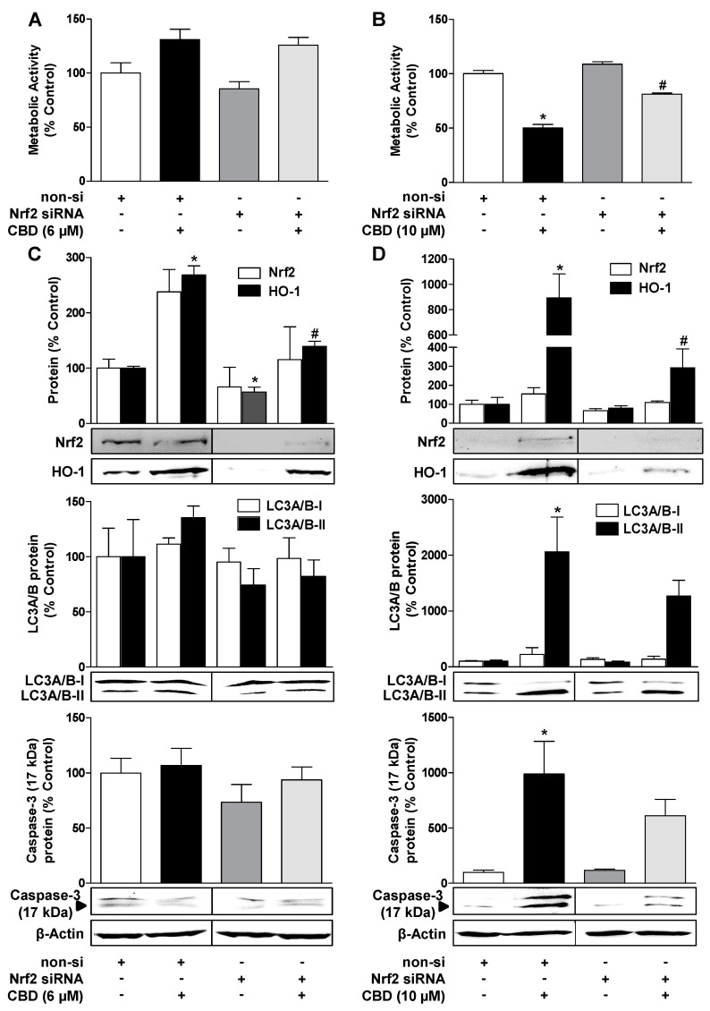PMC7407143 – cells-09-01703-f007
