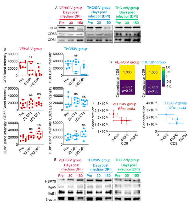 PMC7599525 – cells-09-02243-f003