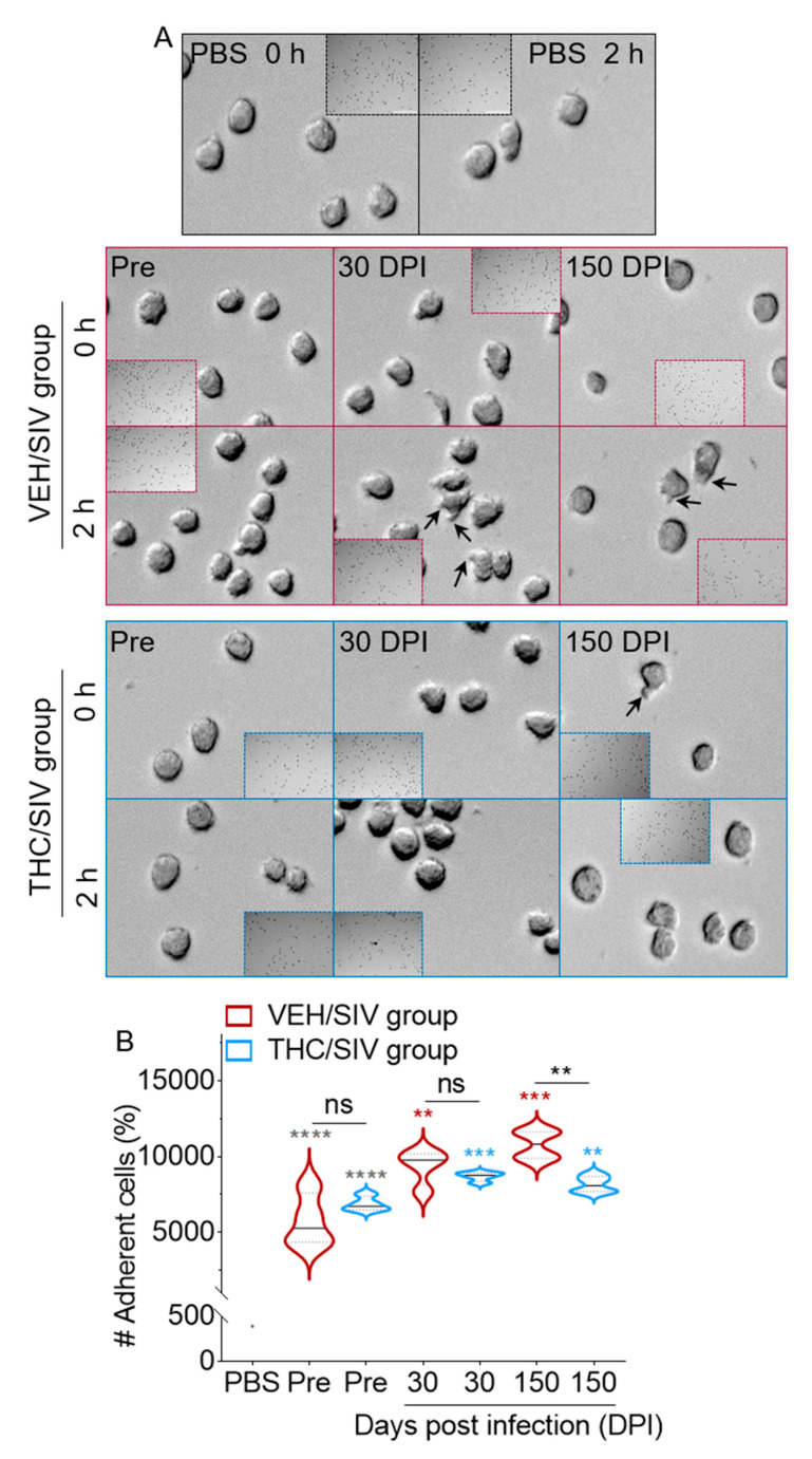 PMC7599525 – cells-09-02243-f005