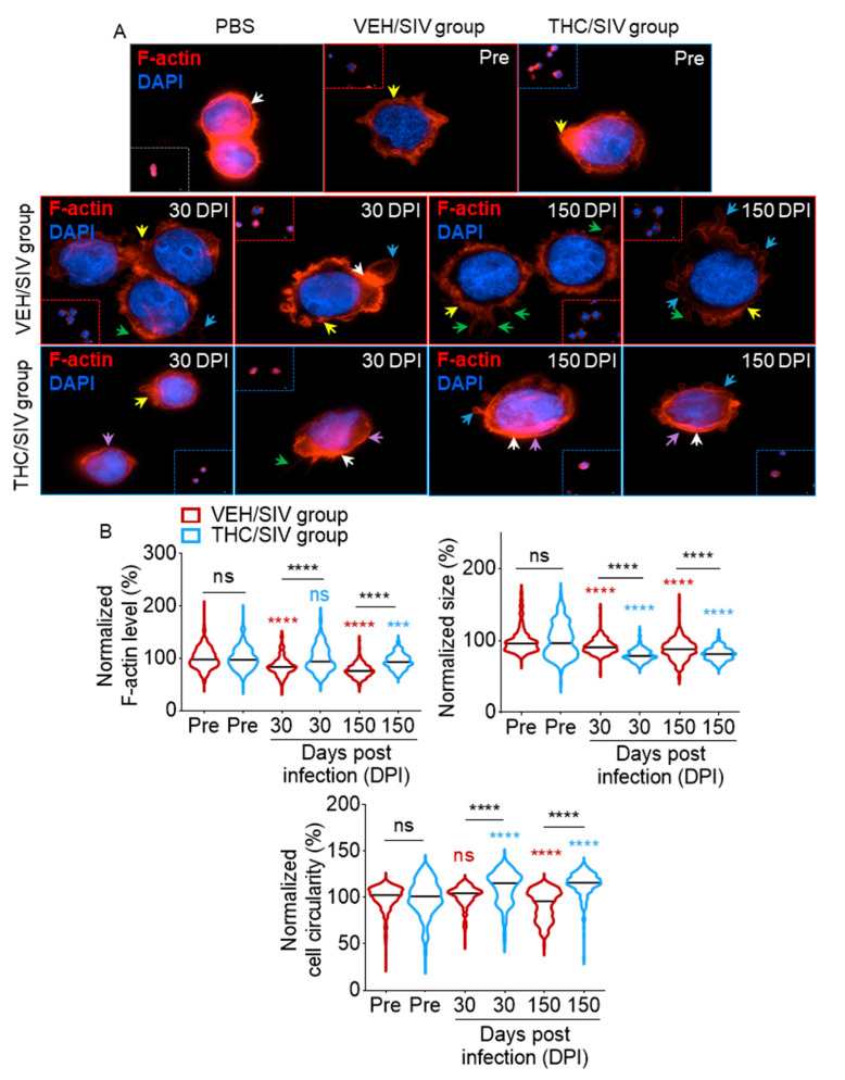 PMC7599525 – cells-09-02243-f006