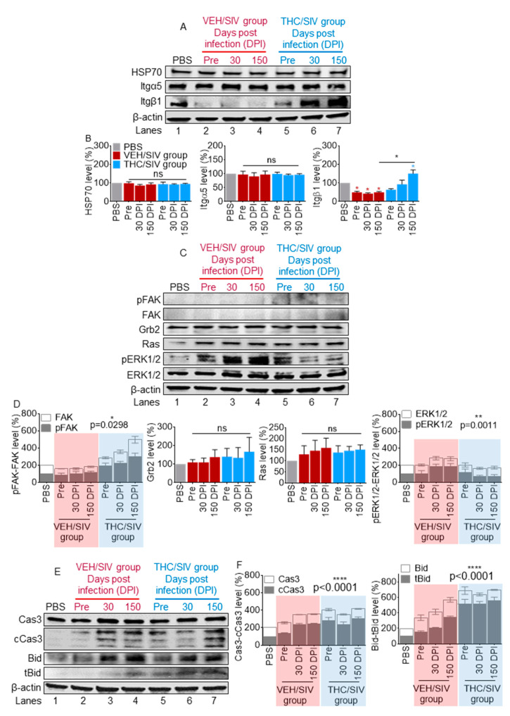 PMC7599525 – cells-09-02243-f007