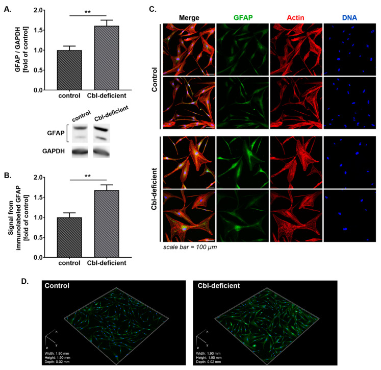 PMC7600008 – cells-09-02261-f001