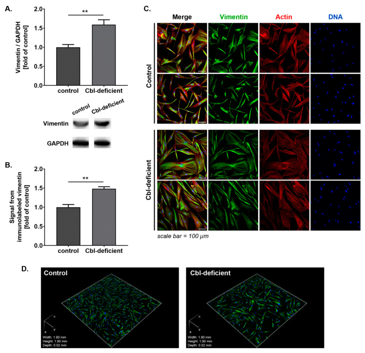 PMC7600008 – cells-09-02261-f002