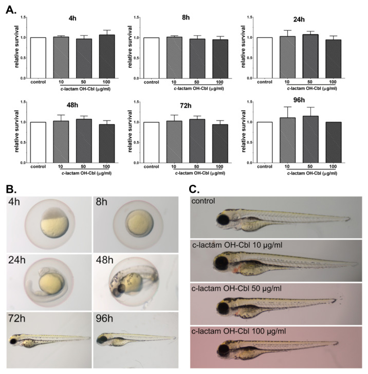 PMC7600008 – cells-09-02261-f004
