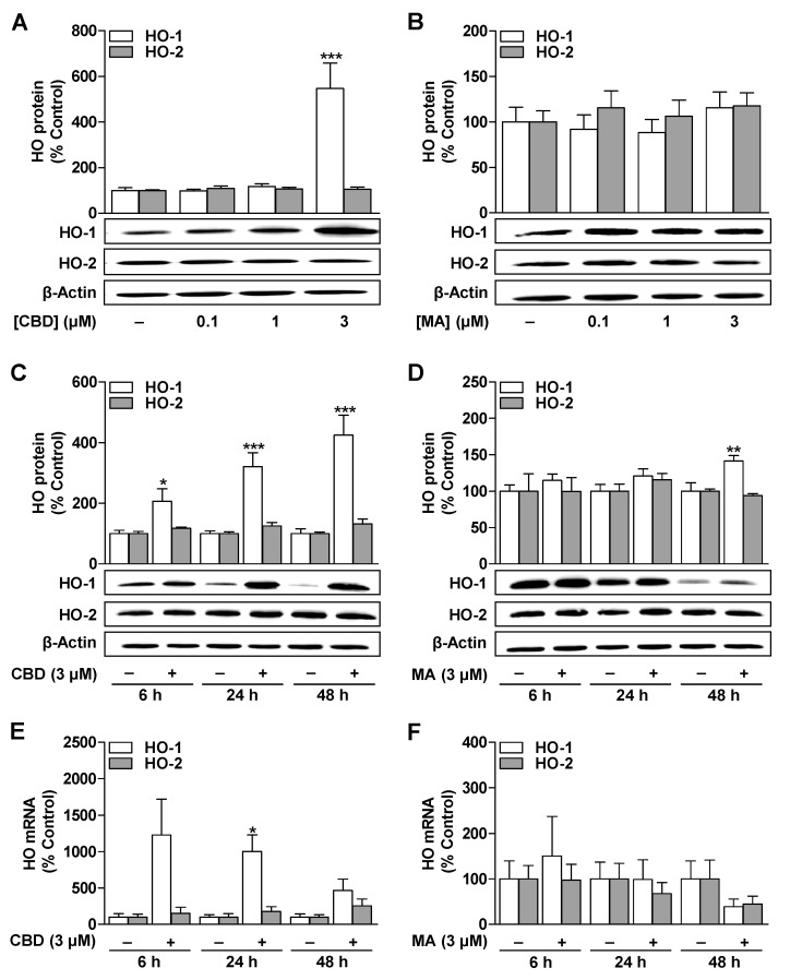 PMC7602569 – cells-09-02298-f001