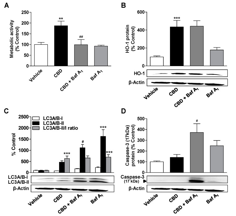 PMC7602569 – cells-09-02298-f005