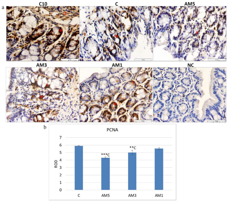 PMC7761014 – cells-09-02571-f005