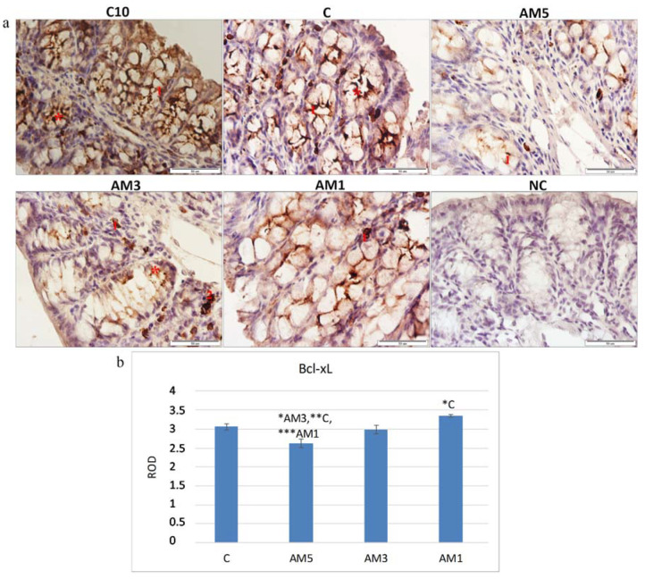 PMC7761014 – cells-09-02571-f006