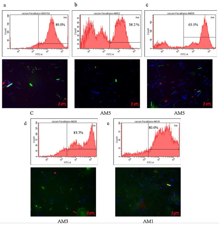 PMC7761014 – cells-09-02571-f007
