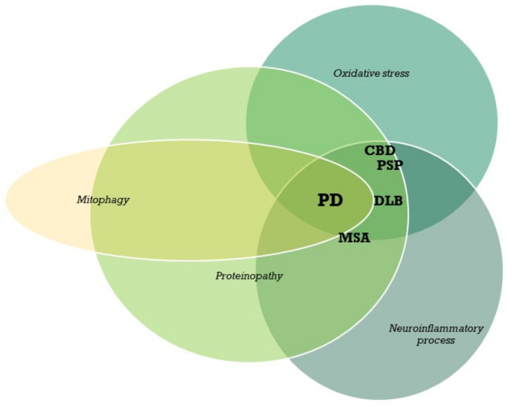 PMC7999195 – cells-10-00656-f001