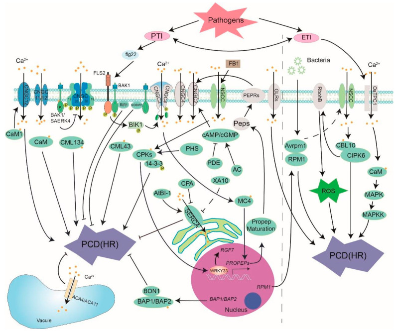 PMC8147489 – cells-10-01089-f001