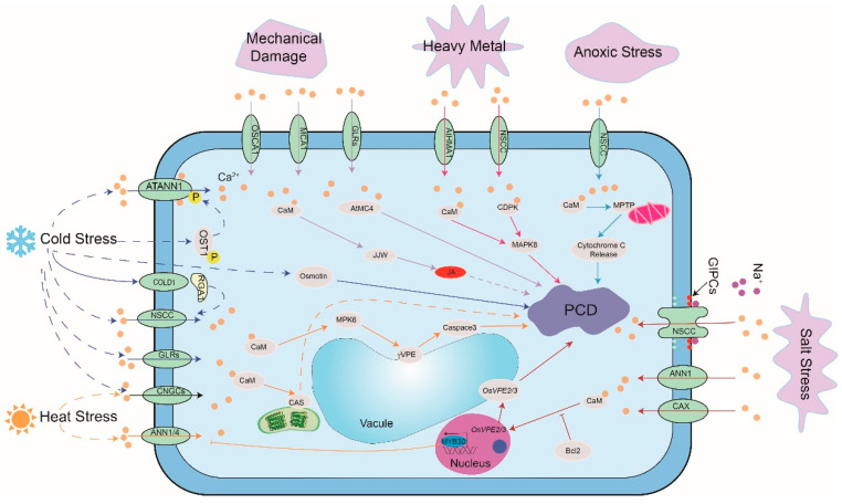 PMC8147489 – cells-10-01089-f002