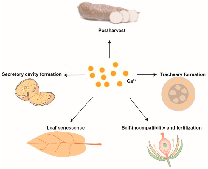 PMC8147489 – cells-10-01089-f003