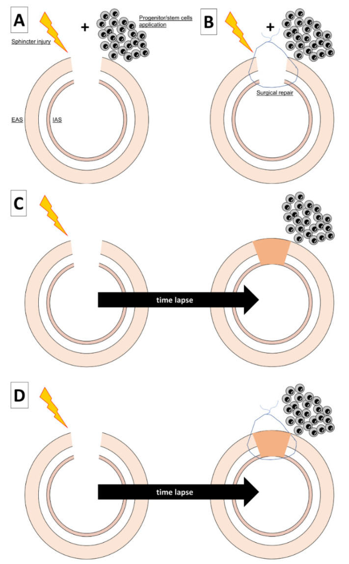 PMC8394955 – cells-10-02086-f002