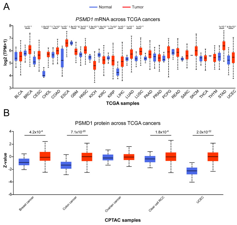 PMC8472613 – cells-10-02390-f001