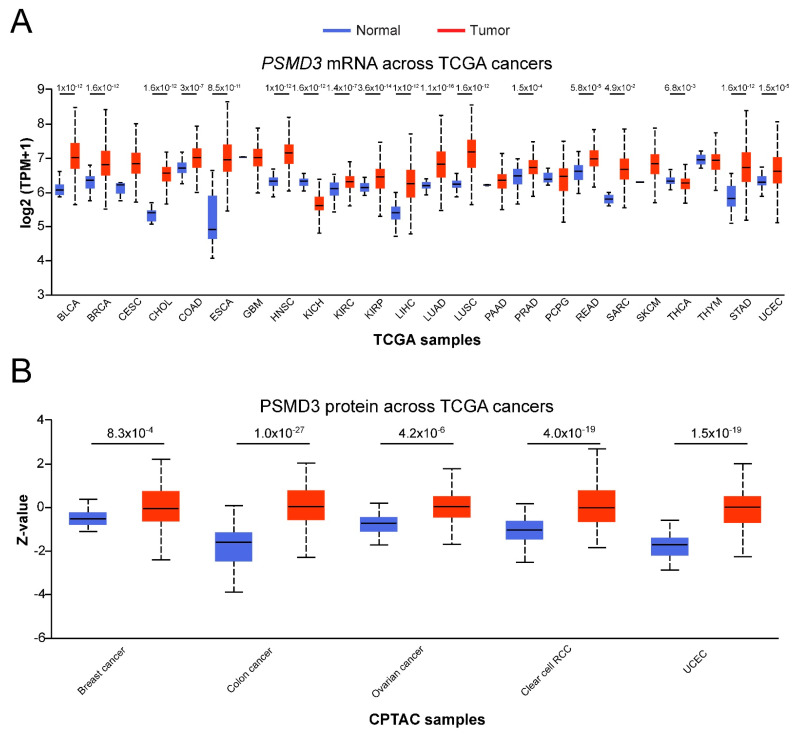 PMC8472613 – cells-10-02390-f002