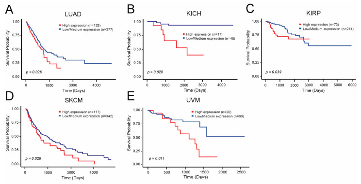PMC8472613 – cells-10-02390-f005