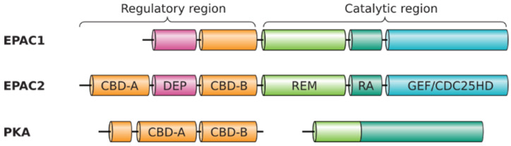 PMC8534922 – cells-10-02750-f001