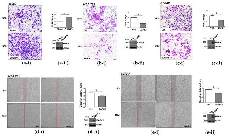 PMC8616132 – cells-10-02994-f002
