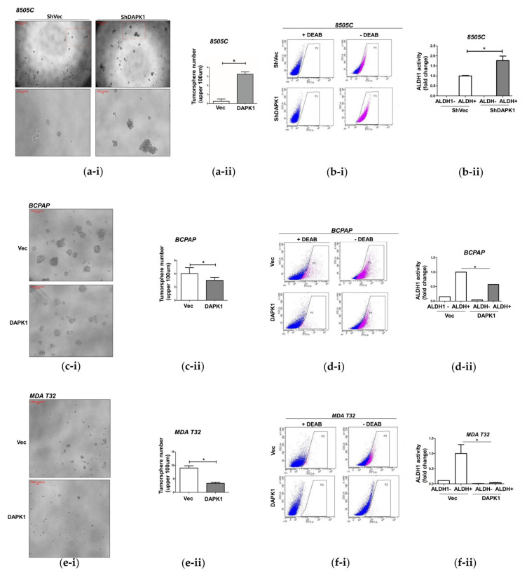 PMC8616132 – cells-10-02994-f003