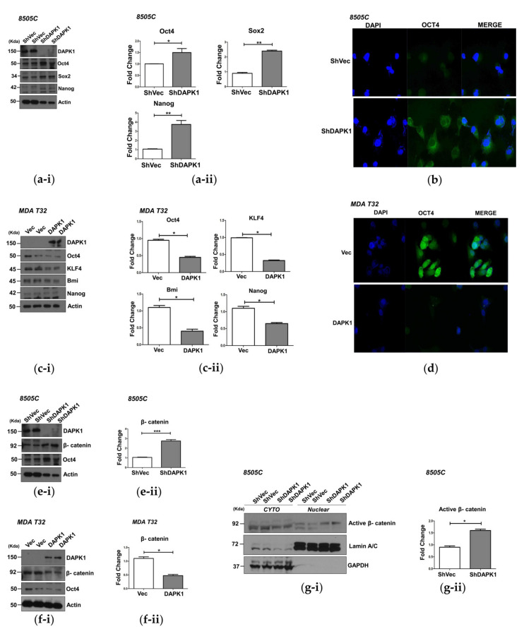 PMC8616132 – cells-10-02994-f004