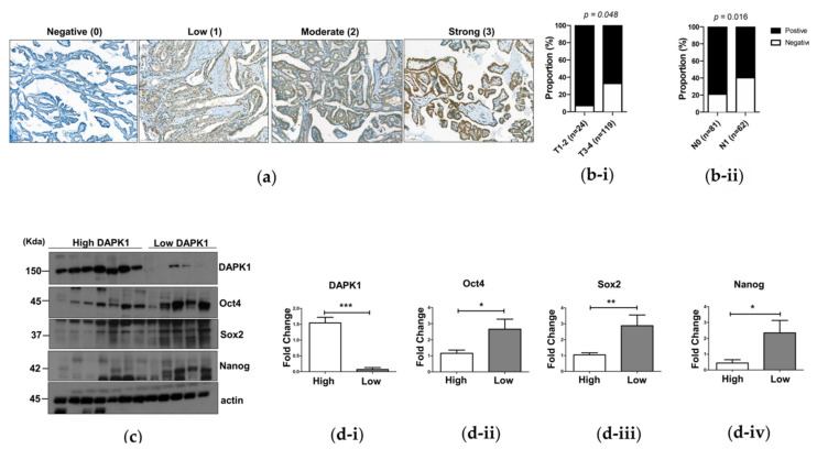 PMC8616132 – cells-10-02994-f005