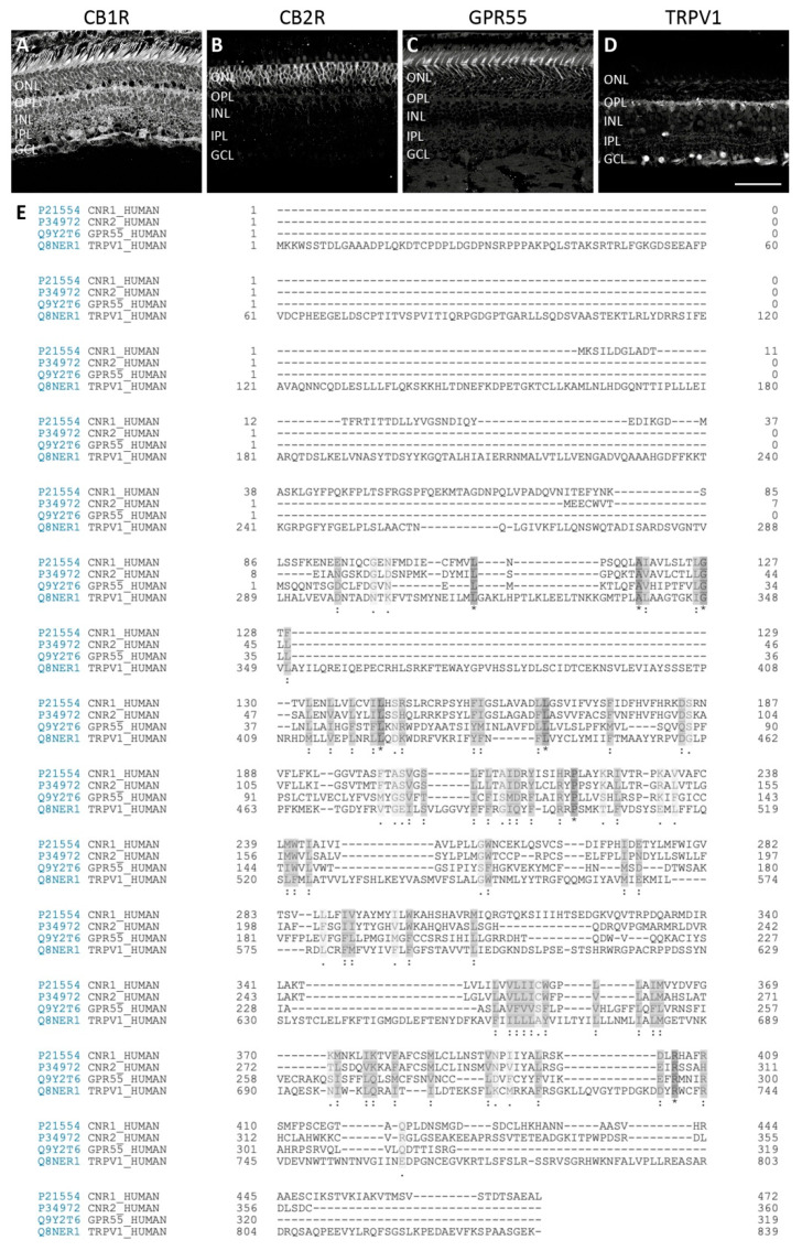 PMC8622302 – cells-10-03160-f003