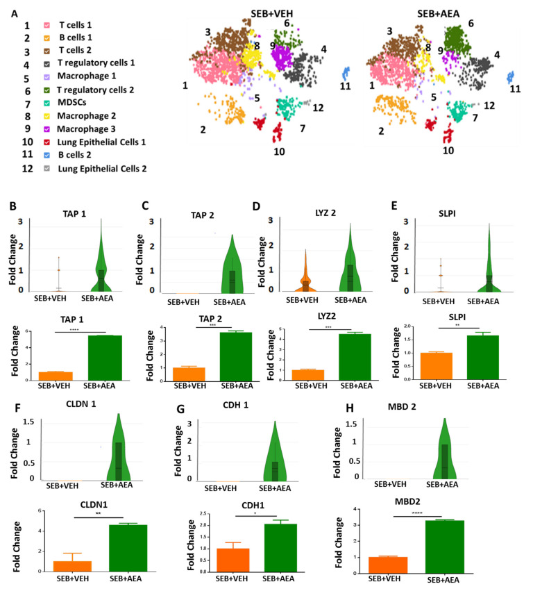 PMC8699344 – cells-10-03305-f004