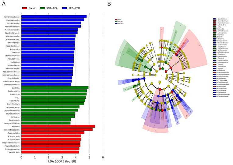 PMC8699344 – cells-10-03305-f006