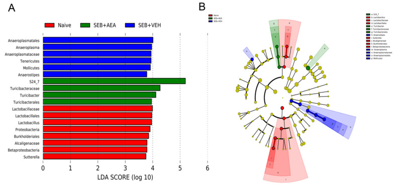 PMC8699344 – cells-10-03305-f008