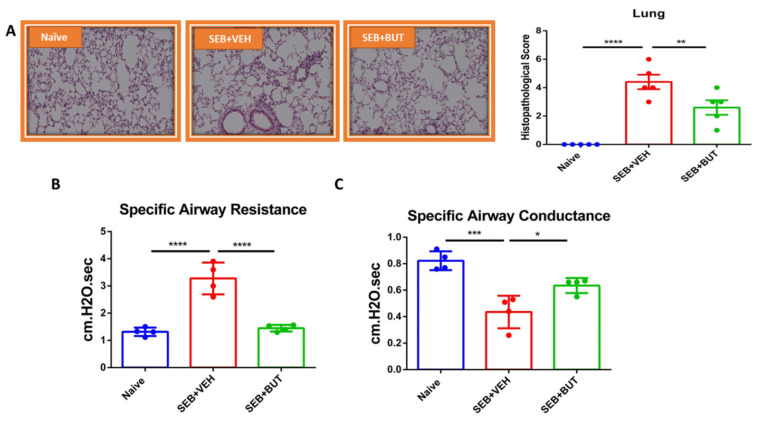 PMC8699344 – cells-10-03305-f010