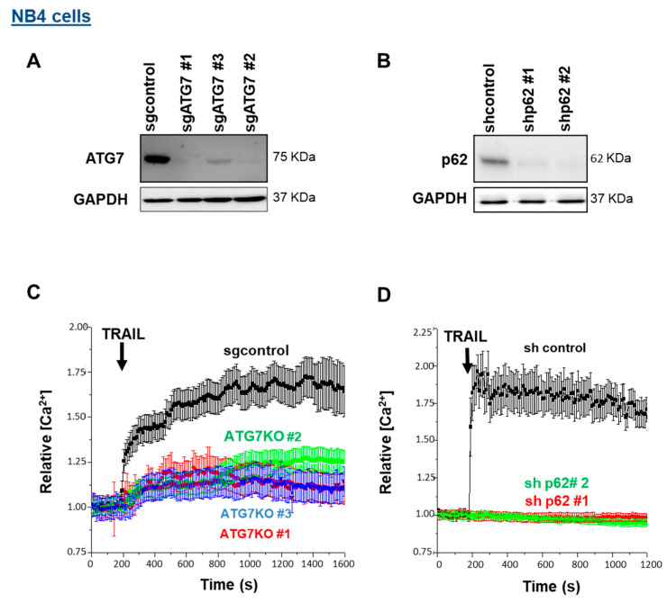 PMC8750441 – cells-11-00057-f003