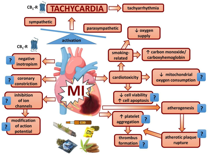 PMC8997492 – cells-11-01142-f002