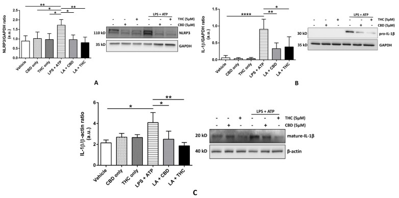PMC9103143 – cells-11-01391-f002