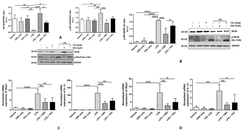 PMC9103143 – cells-11-01391-f003