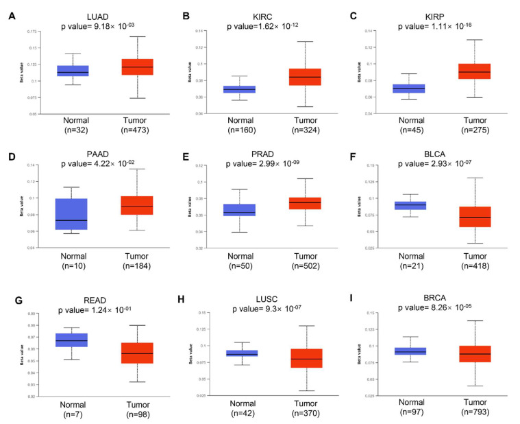 PMC9105487 – cells-11-01427-f003