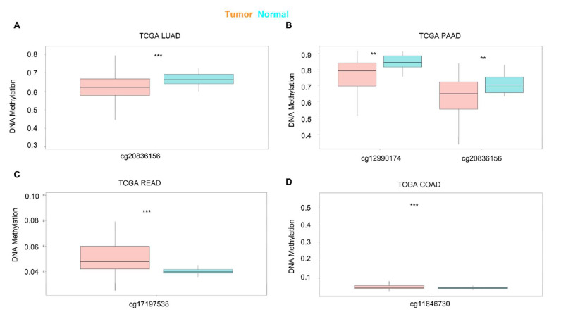 PMC9105487 – cells-11-01427-f004