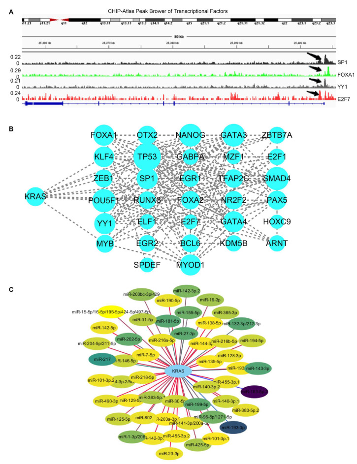 PMC9105487 – cells-11-01427-f005
