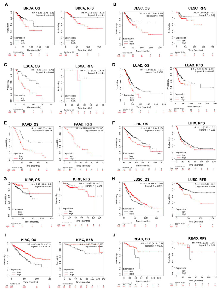 PMC9105487 – cells-11-01427-f007