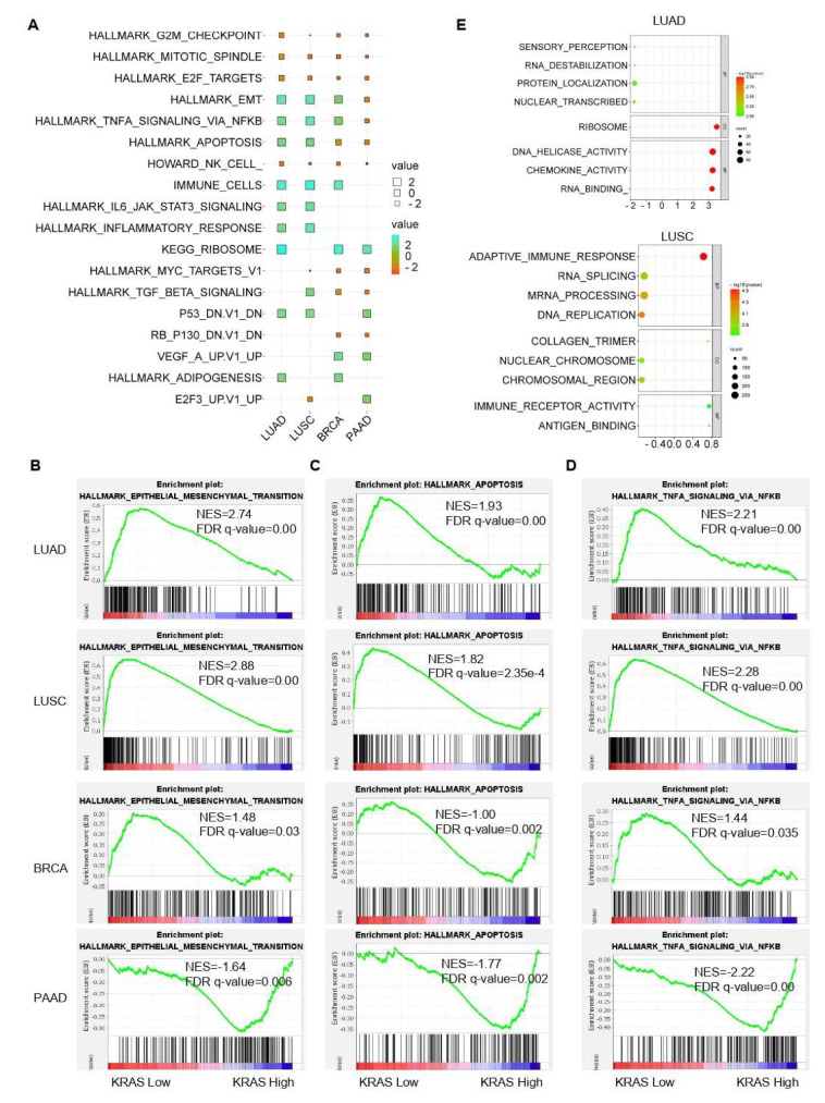 PMC9105487 – cells-11-01427-f010