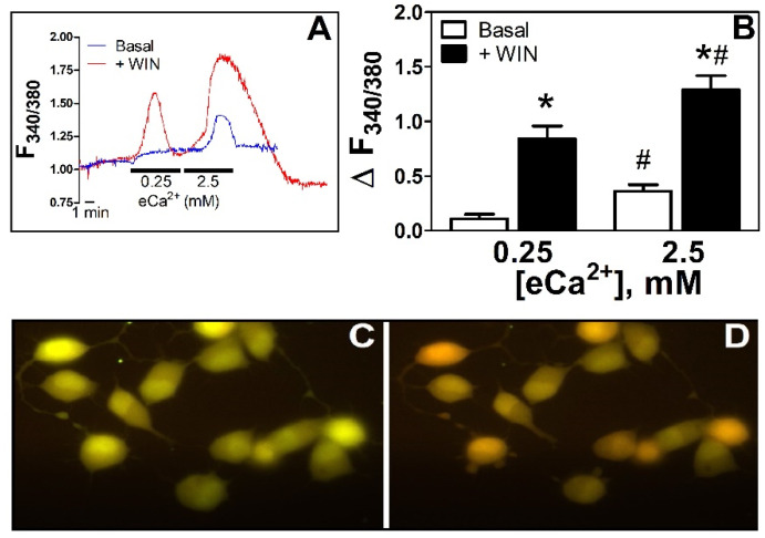 PMC9563019 – cells-11-02947-f001