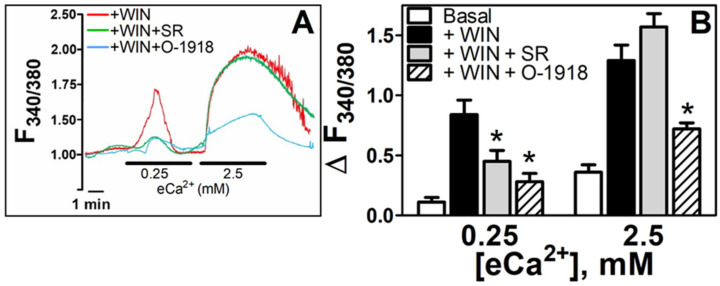 PMC9563019 – cells-11-02947-f005