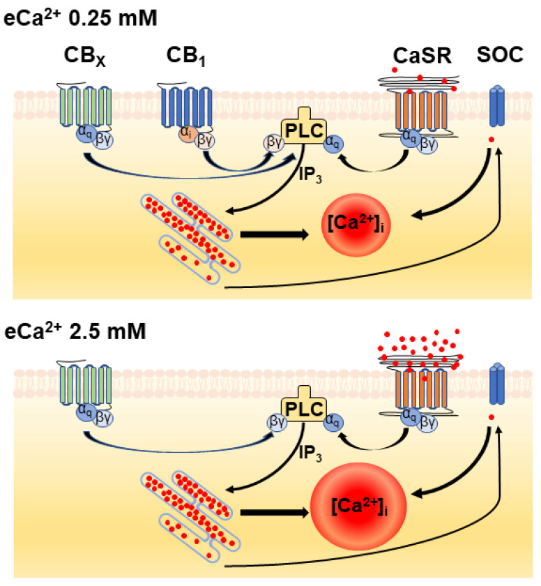 PMC9563019 – cells-11-02947-f006