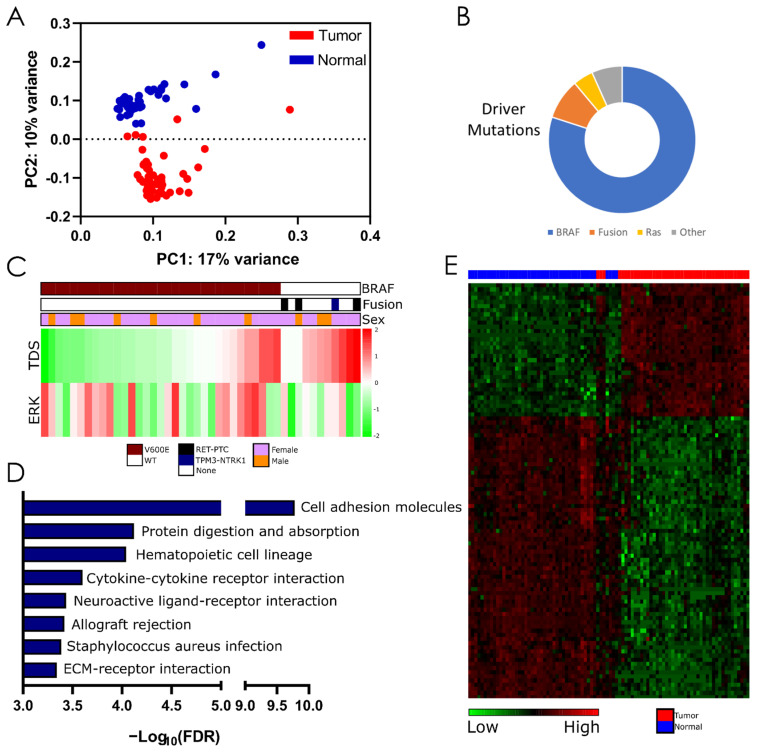 PMC9562881 – cells-11-03181-f001